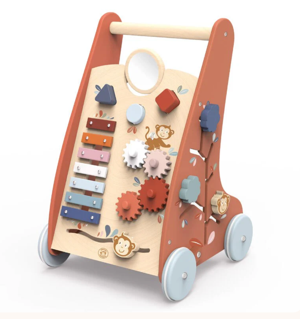 Multi Activity Push Toy - Activity Walker