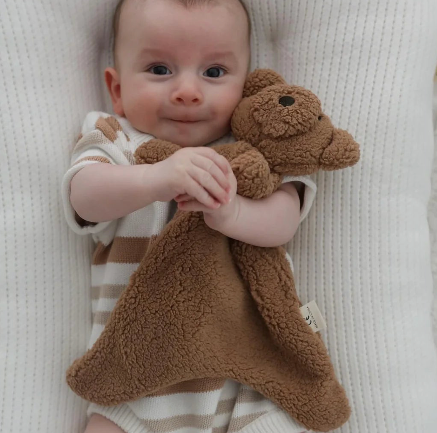 Little Teddy Comforter Toy