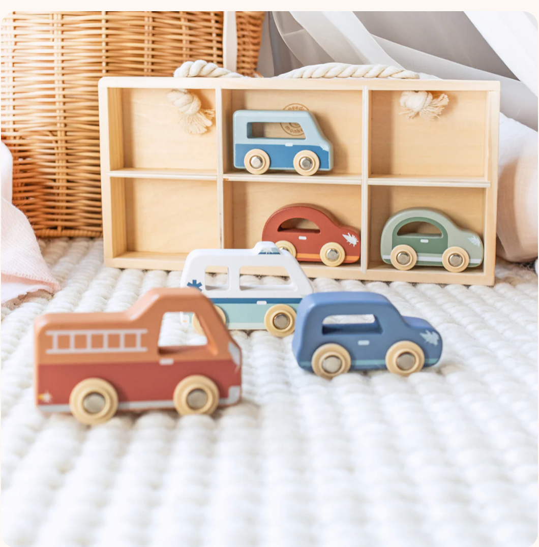 Speedy Monkey - Car Display Case