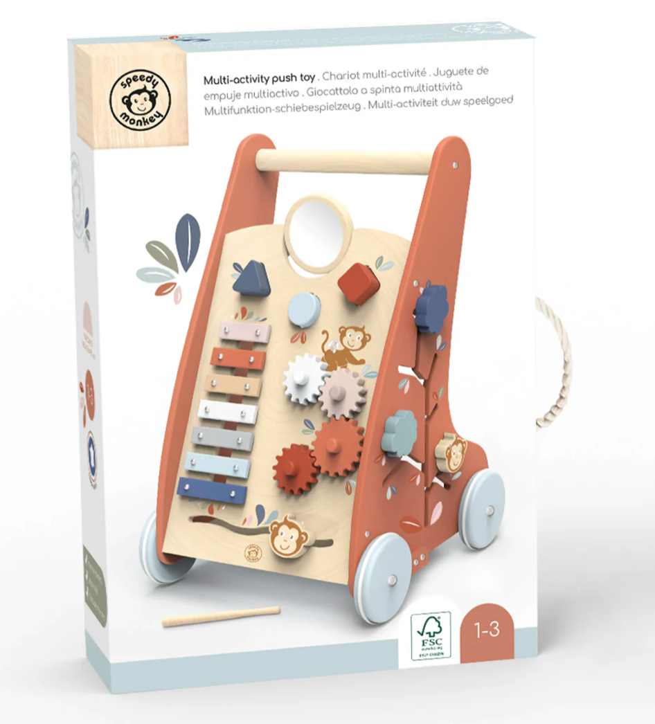 Multi Activity Push Toy - Activity Walker