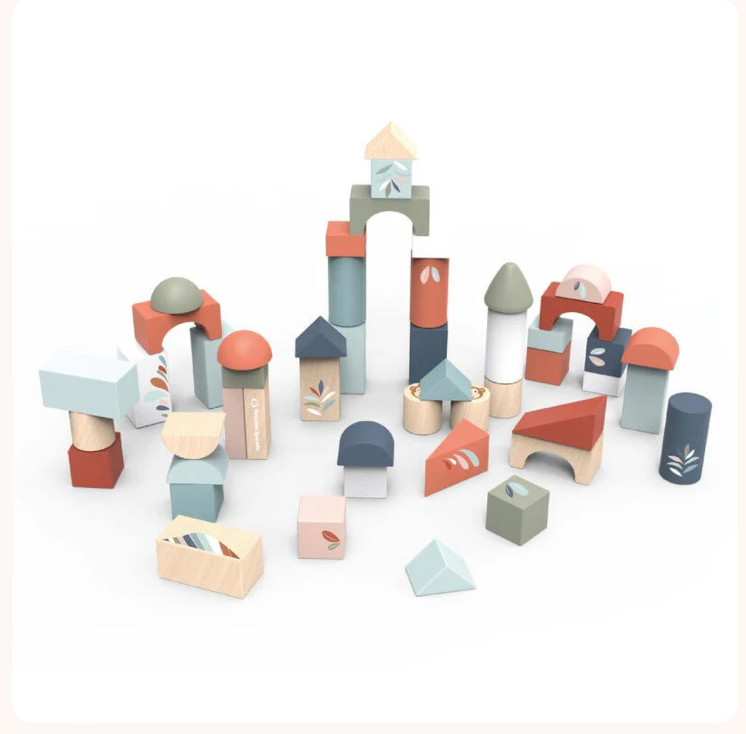 Building Blocks 50pc